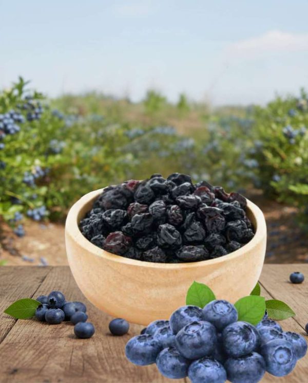 Dry Blueberry
